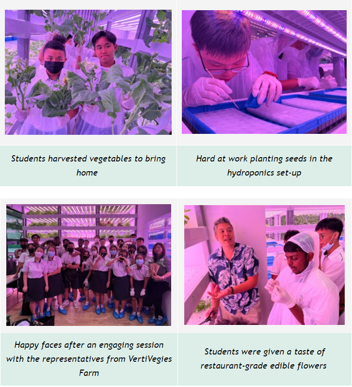 Four photos of students at a hydroponics farm harvesting vegetables, planting seeds, posing as a group, and tasting edible flowers.